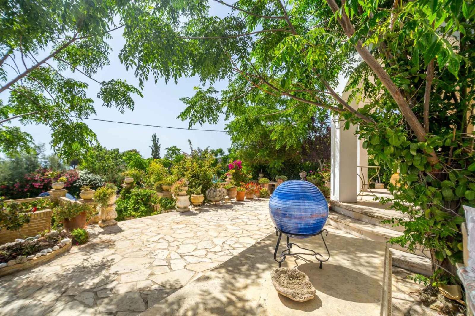 Blue Horizon Studios Vasilikí Extérieur photo
